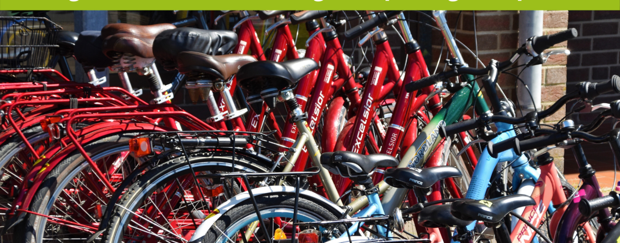 15948_taglia_bici