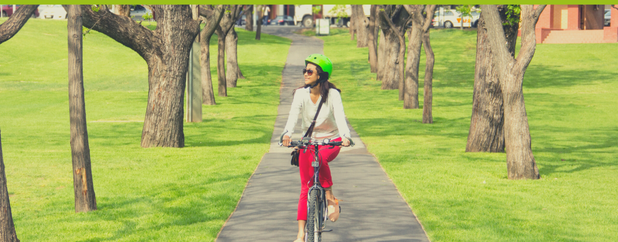 1746_Bicicletta_Bikeplatinum