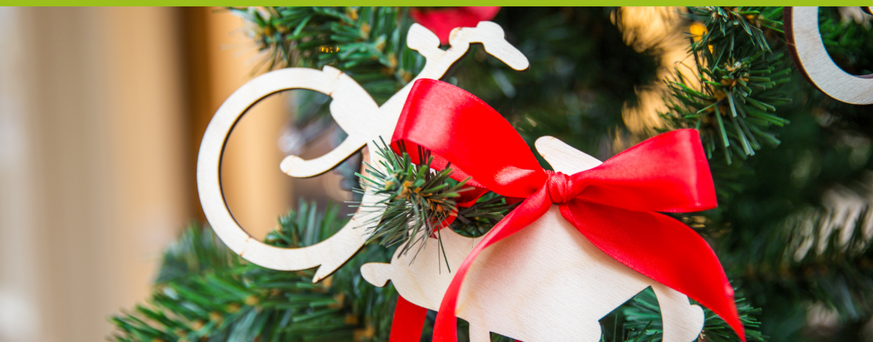 2116_bicicletta_natale