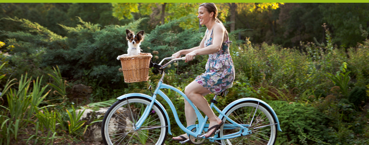 51052_cane_bici